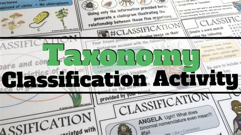 Classification And Taxonomy Youtube
