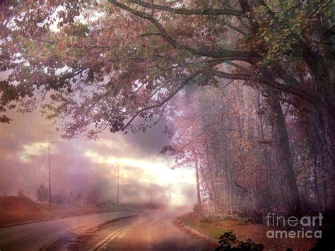 Dreamy Pink Nature Landscape Surreal Foggy Scenic Drive Nature Tree