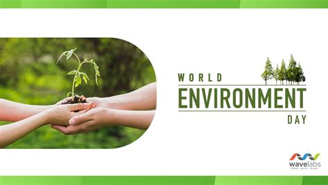 Wavelabs On Twitter Happy World Environment Day Share Your Love For
