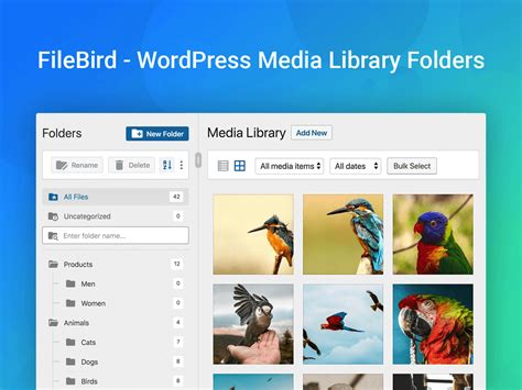The 6 Best Wordpress Media Folders Plugins Zemez