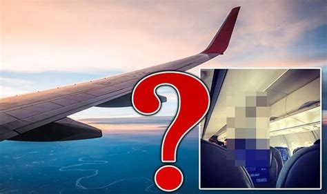 Flights Plane Passengers Shocked When They Spot Flier Doing This Bizarre Activity Travel News