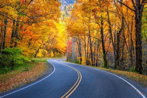 Best North Carolina Spots To View Fall Foliage Forsyth Woman Magazine