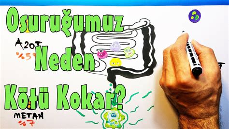 If those preventative tactics don't do much to change your sweat and smell sitch, there are some other measures you can take. Osuruk Neden Kötü Kokar? \ Why do farts smell bad? - YouTube