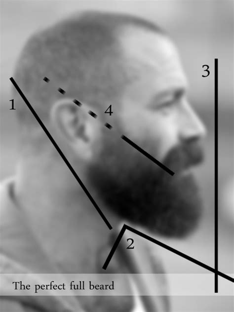 Perfect Beardshape Trimming Your Beard Hair And Beard Styles Beard Neckline