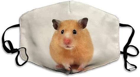 Fsxik Lovely Small Hamster Outdoor Protective Cotton Face