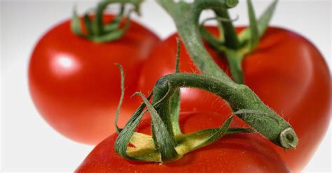 Check spelling or type a new query. Which Are the Best Artificial Lights to Grow Tomato Plants ...