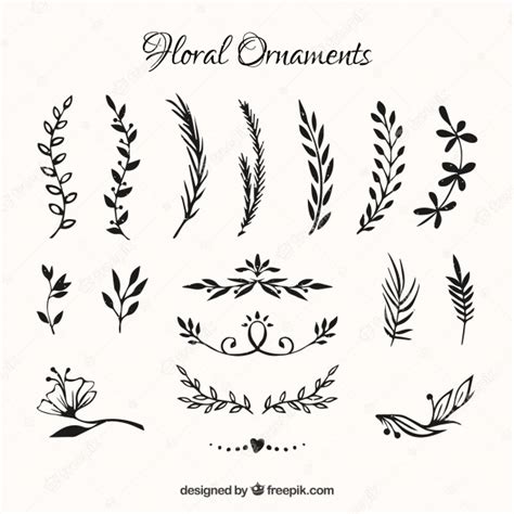 Collection Of Hand Drawn Flowers Ornament Vector Free Download