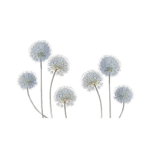 Dandelion Wall Decal The Treasure Thrift Wall Decals For Bedroom