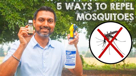 5 Natural Ways To Repel Mosquitoes Youtube