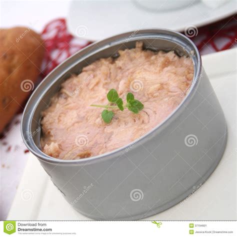 Fresh Tuna Fish Stock Image Image Of Fresh Fish Snack 37194601