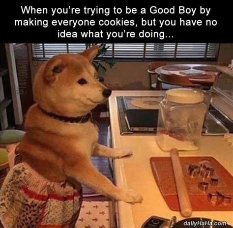 Trying To Be A Good Boy