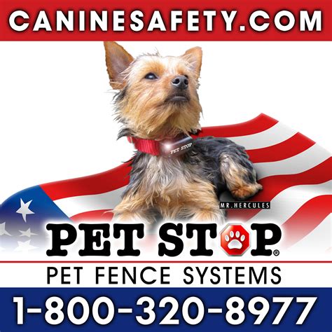 Pets' stop veteriner polikliniği : Background-About Pet Stop - Your Invisible Fence Alternative