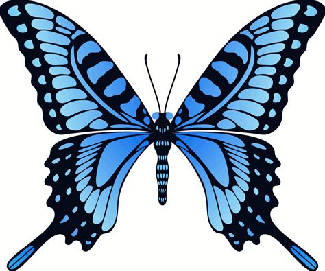 Butterfly Gif Image Art Collection at Best Animations
