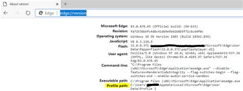 Code Example How To Open MS Edge With Specific Profile With Selenium WebDriver