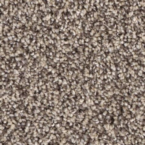 Check spelling or type a new query. Home Decorators Collection Carpet Sample - Scout's ...