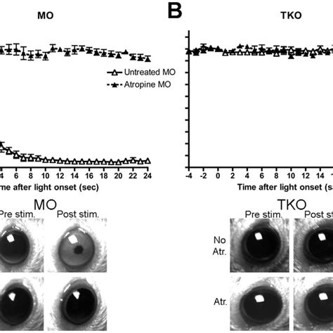 Axotomy Abolishes The Atropine Induced Light Aversion Response In Tko