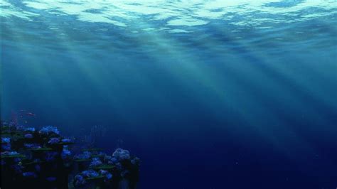 10 Best Finding Dory Ocean Background Full Hd 1920×1080 For Pc