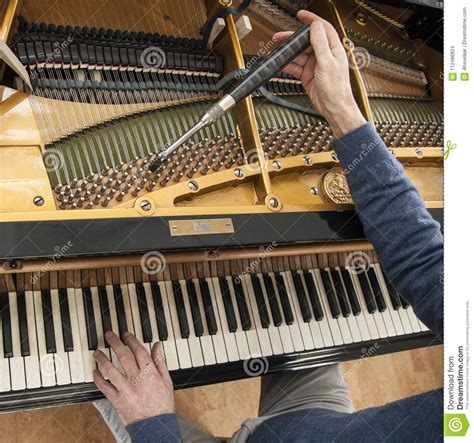 Hand And Tools Of Tuner Working On Grand Piano Stock Photo Image Of