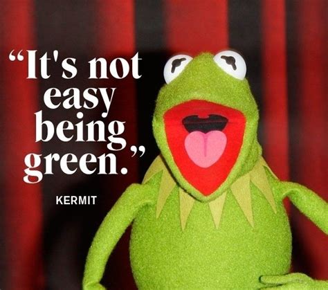 9 Quotes From Kermit The Frog The Puppet With A Lot To Say