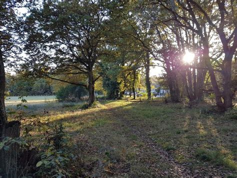 The latest vacancies from all the top employers and leading job boards in yateley, hampshire. Cricket Hill. #yateley common #Hampshire | Hampshire ...