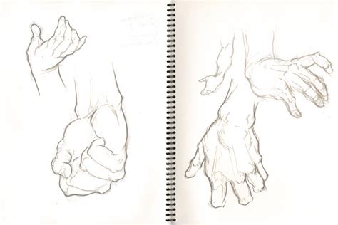 Anatomy Study Hands By Gavinmichelli On Deviantart