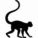 Silhouette Zoo Clip Monkey Animals Icons Mono