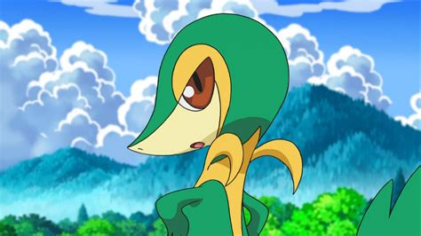 Imagen Ep677 Snivy De Ashpng Wikidex Fandom Powered By Wikia