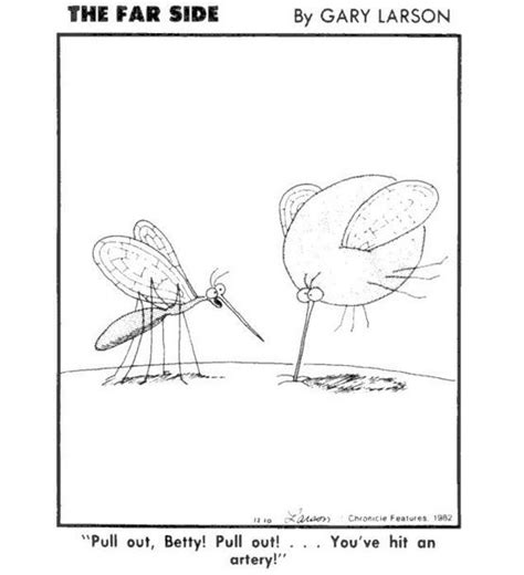 Mosquitoes 60 Observations On Life From The Far Side By Gary