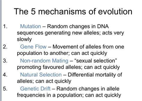 Solved The 5 Mechanisms Of Evolution 1 2 3 Mutation