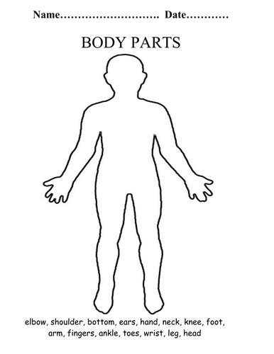 Body Parts Labelling Activity By Mrsbourdon Teaching
