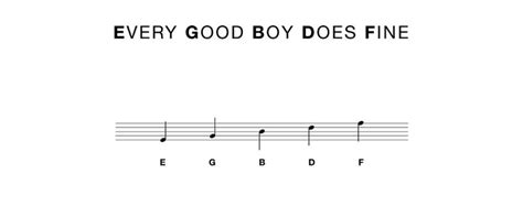 An introduction to traditional sheet music notation. How to Read Violin Notes: A Beginner's Guide