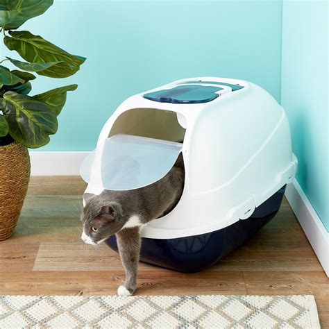 Hooded Cat Litter Box Small Cat Meme Stock Pictures And Photos
