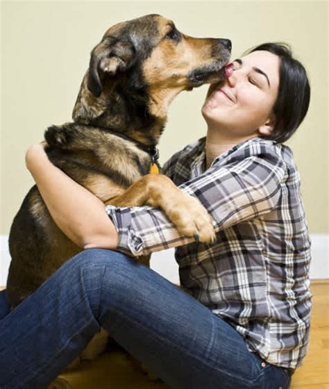 13 Ways Your Dog Shows Love