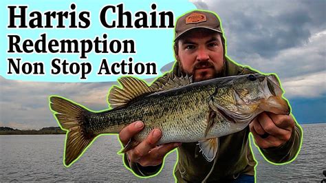 Harris Chain Of Lakes Bass Fishing In Lake Griffin Non Stop Off Shore