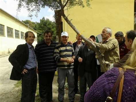Για να είσαι πάντα μπροστά, ακολούθησε τον κόσμο του fthis.gr ΠΡΑΓΜΑΤΟΠΟΙΗΘΗΚΕ Η ΗΜΕΡΙΔΑ ΜΕ ΘΕΜΑ "ΕΜΒΟΛΙΑΣΜΟΣ ΔΕΝΤΡΩΝ ...