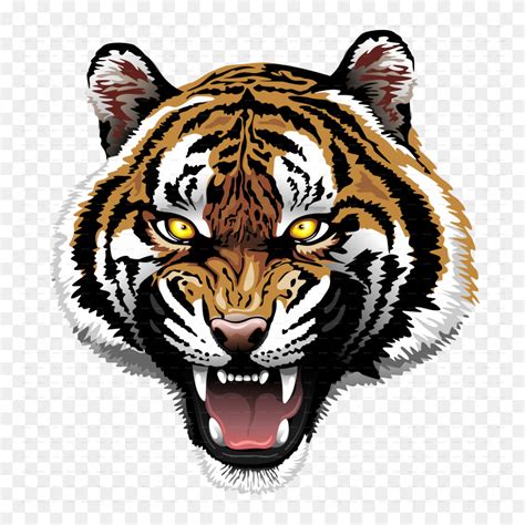 Duval Tiger Logo Png Flyclipart