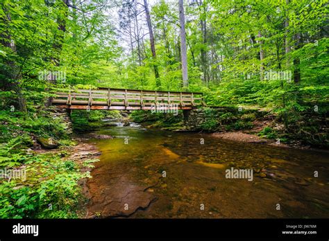 Wooden Footbridge Over Kitchen Creek At Ricketts Glen State Park