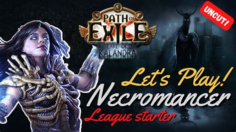 Let S Play Path Of Exile Act 1 10 Necromancer Summoner Lake Of