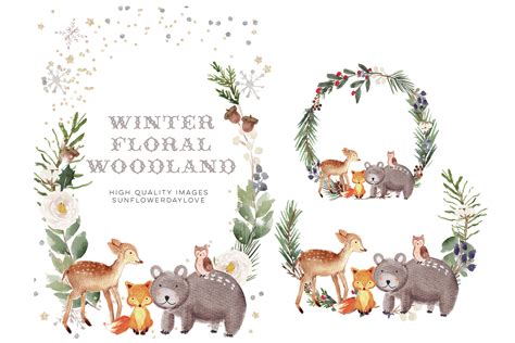 Frame Watercolor Winter Woodland Animal Graphic By Sunflowerlove