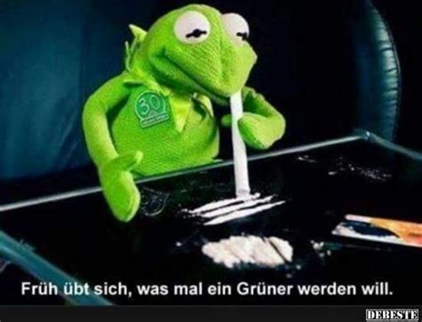 19 memes, die ernsthaft die frage aufwerfen, ob wir eigentlich in einer riesigen komödie leben. 69 besten Sascha Conny schntzler Bilder auf Pinterest ...