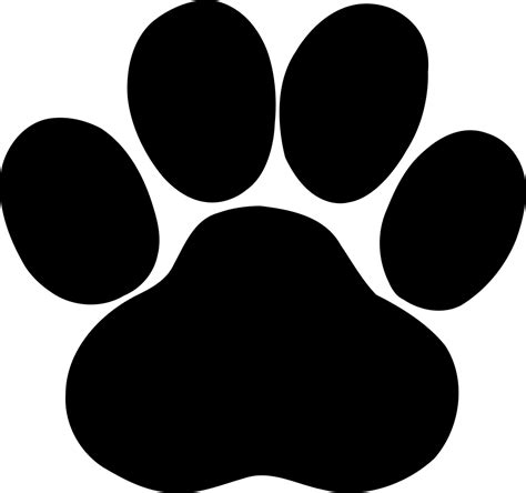 Paw Png Transparent Image Download Size 1093x1024px