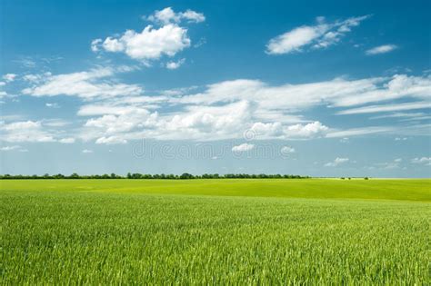 Summer Landscape With Clouds Stock Image Image Of Plant Trees 21133561