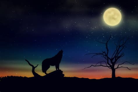 Wolf Howling At The Moon Wallpaper Hd Carrotapp
