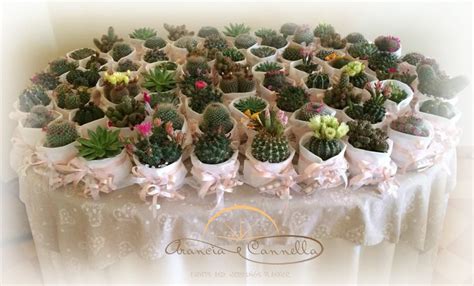 Una cena tra gli ulivi per festeggiare qualcosa di speciale. Piante grasse come bomboniere! | Aranciaecannella Wedding ...