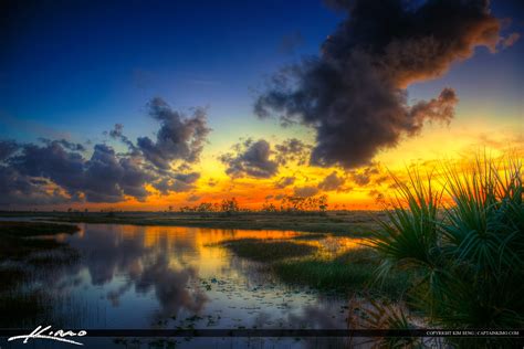 Florida Wetlands Sunset Pine Glades Natural Area Royal Stock Photo