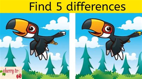 Find The 5 Differences 🙆spot The 5 Differences Youtube