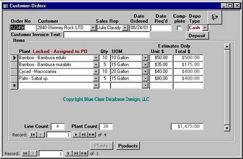 Microsoft Access Form Design Guide User Interface Design Examples