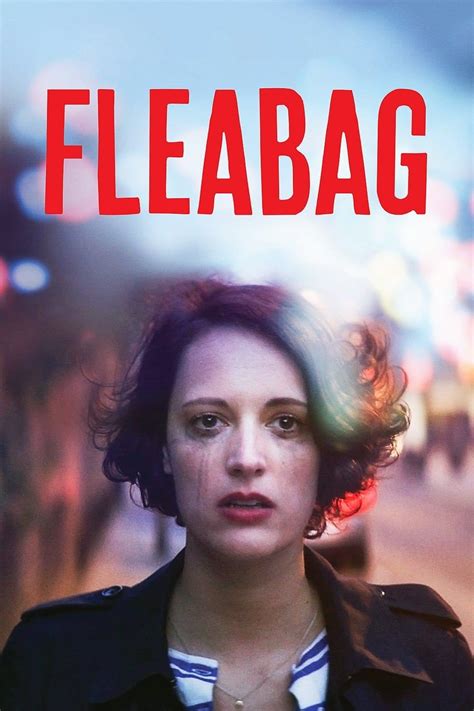 Review Fleabag Fandom Insights