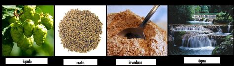 Uece A Substancia Responsavel Pelo Sabor Amargo Da Cerveja