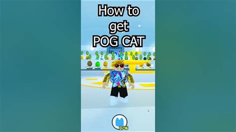 How To Get Pog Cat In Roblox Pet Simulator X Youtube